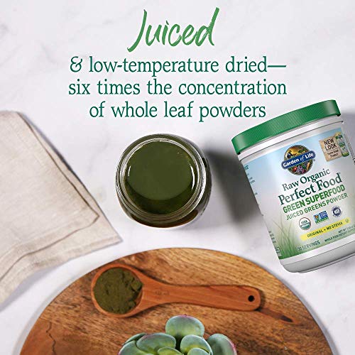 Garden Of Life Raw Organic Perfect Food Green Superfood Juiced G Garden Of Life Raw Organic Perfect Food Green Superfood Juiced G