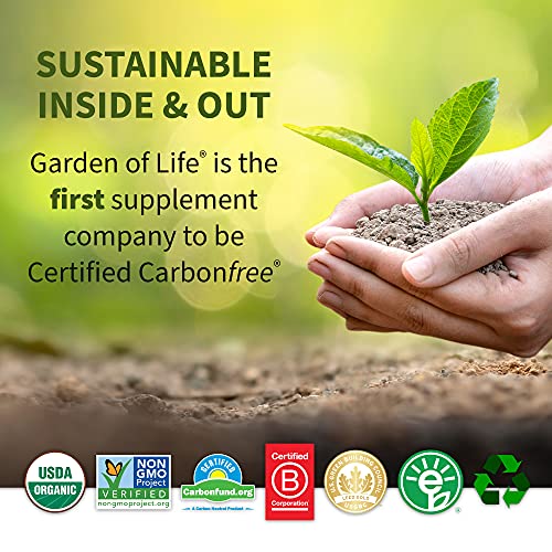 Garden Of Life Raw Organic Perfect Food Green Superfood Juiced G Garden Of Life Raw Organic Perfect Food Green Superfood Juiced G