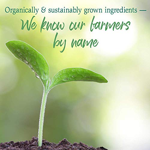 Garden Of Life Raw Organic Perfect Food Green Superfood Juiced G Garden Of Life Raw Organic Perfect Food Green Superfood Juiced G