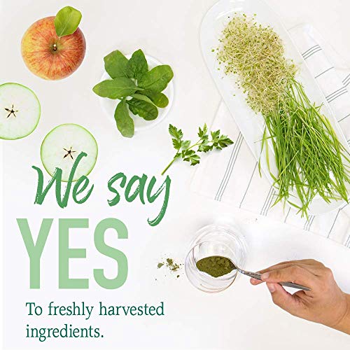 Garden Of Life Raw Organic Perfect Food Green Superfood Juiced G Garden Of Life Raw Organic Perfect Food Green Superfood Juiced G