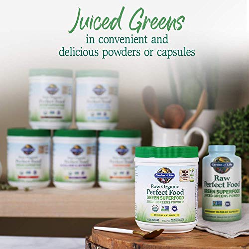 Garden Of Life Raw Organic Perfect Food Green Superfood Juiced G Garden Of Life Raw Organic Perfect Food Green Superfood Juiced G