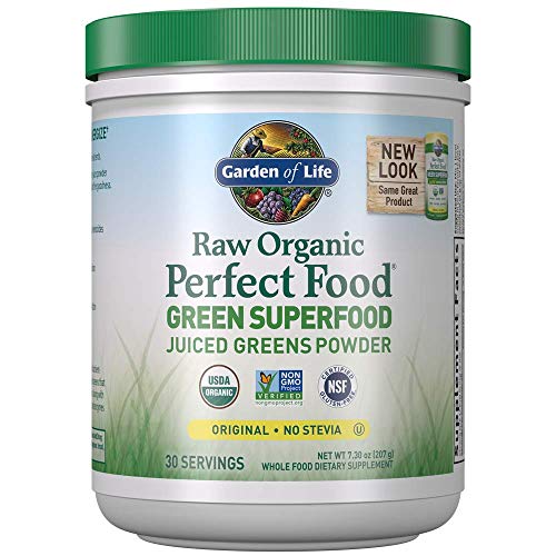 Garden Of Life Raw Organic Perfect Food Green Superfood Juiced G Garden Of Life Raw Organic Perfect Food Green Superfood Juiced G