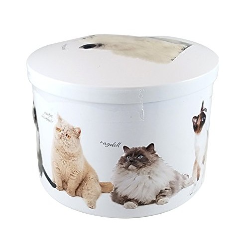 Gardiners Of Scotland Cat Tin Filled With Luxury Traditional Sco