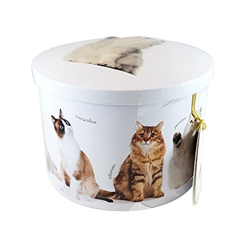 Gardiners Of Scotland Cat Tin Filled With Luxury Traditional Sco