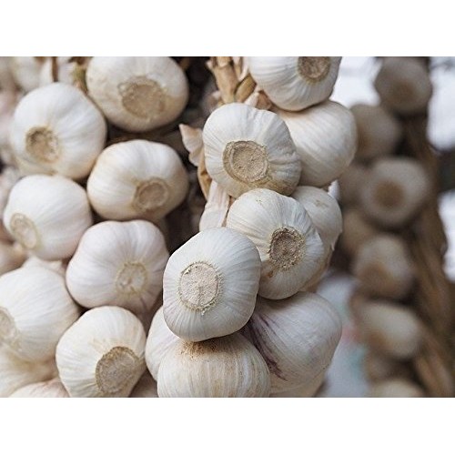 Garlic Gold, Certified Organic Lemon Meyer With Extra Virgin Oli