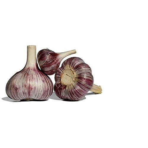 Garlic Gold, Delicious Organic Meyer Lemon &Amp; Extra Virgin Olive