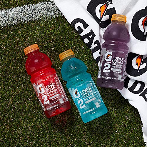 Gatorade G2 Sports Drink Low Calorie, Grape, 24 Count