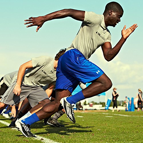 Gatorade Thirst Quencher, Fruit Punch And Cool Blue Variety Pack