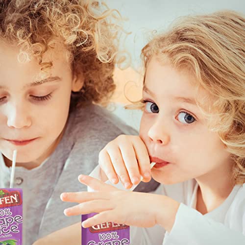 Gefen Grape juice Box Drink, 6.75oz 27 Pack 100% Grape Juice, ...