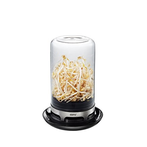 Sprouting Jar Black