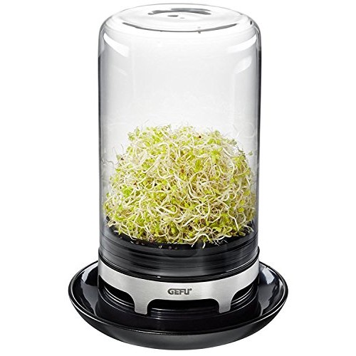 Sprouting Jar Black