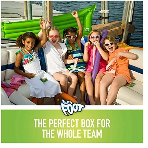 General Mill Fruit By The Foot, 36 Ounce