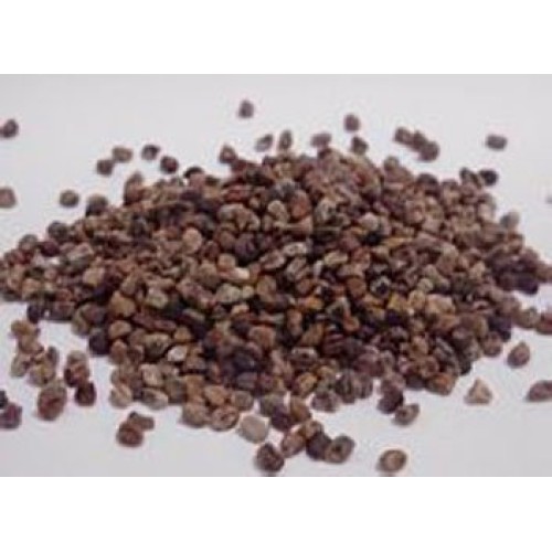 Cardamom Seeds 3.5 Oz