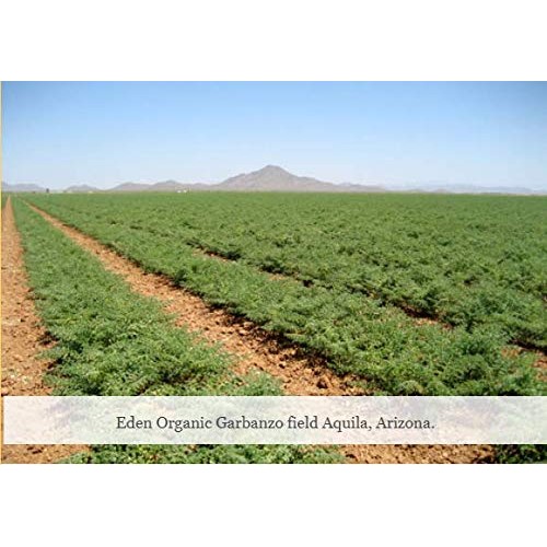 Eden Foods Organic Garbanzo Beans - Chick Peas | Pinto Canned