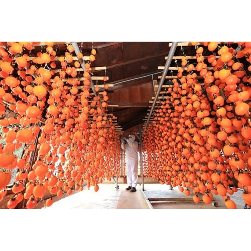 Ichida Dried Persimmons 市田柿 500g – Premium Japanese Dried F...