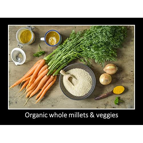 Mealet: 4 Organic International Millet Meals. High Protein, Plan