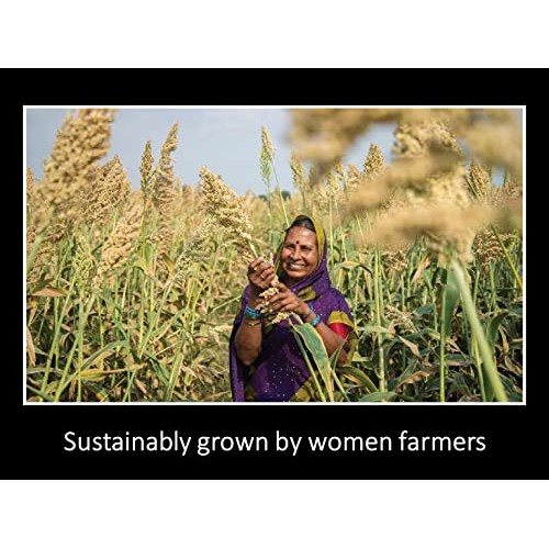 Mealet: 4 Organic International Millet Meals. High Protein, Plan