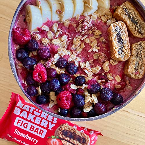 Natures Bakery Fig Bar 40 Pack/ 5 Lbs