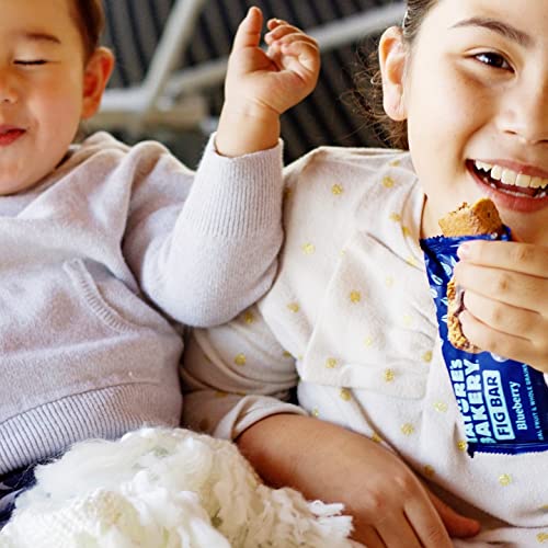 Natures Bakery Fig Bar 40 Pack/ 5 Lbs