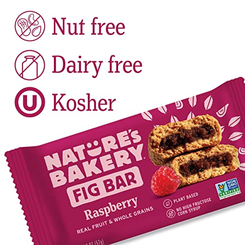 Natures Bakery Whole Wheat Fig Bars - 2 Twin Pack Boxes, 64 Bars