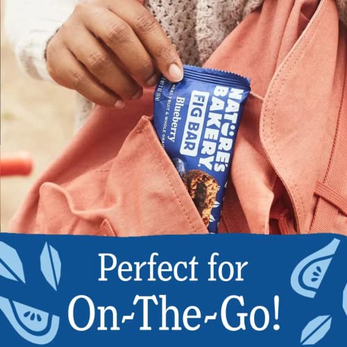 Natures Bakery Whole Wheat Fig Bars - 2 Twin Pack Boxes, 64 Bars