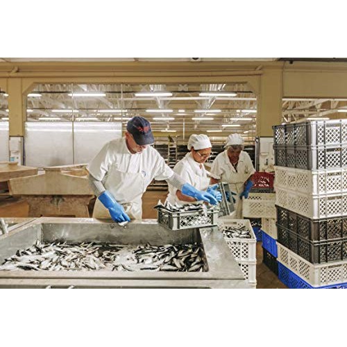 Nuri Portuguese Sardines &Amp; Mackerel Variety Pack | 5 Pack Bundle