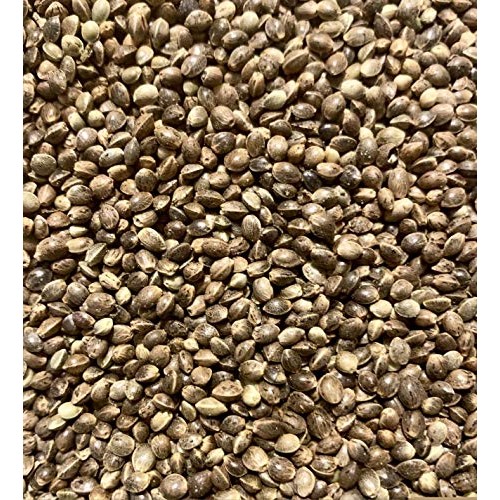 Whole Hemp Seeds Nuts Premium 60G Unshelled Grain, Vegan, Allerg