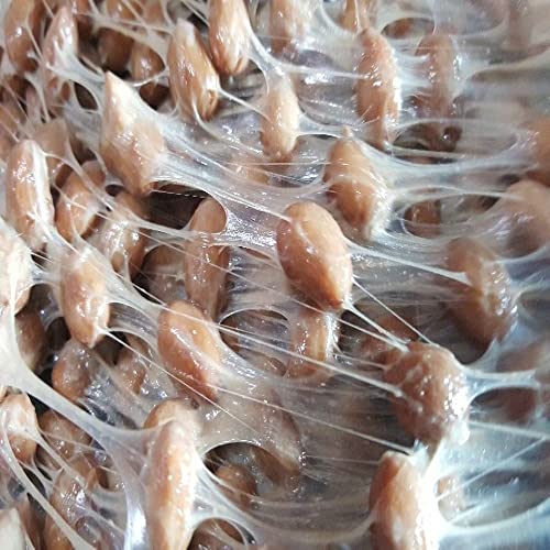 Wonkyung Food Korean Traditional Fast-fermented Soybean Paste C...