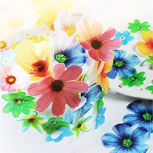 Aazon.co: Edible Fall Leaves Assorted Set Of 20 - Cake & Cupcake...