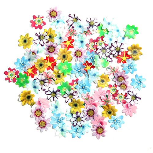 Georld 48Pcs Edible Cupcake Toppers Wafer Flower Cake Decoration