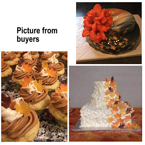 Georld Set Of 36 Edible Fall Leaves Gold Leaf Cake Decorations,