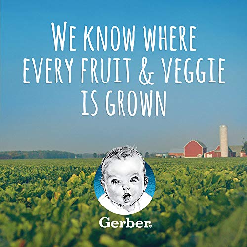 Gerber 2Nd Foods Apple Peach Squash, 4 Ounce Tubs, 2 Count Pack