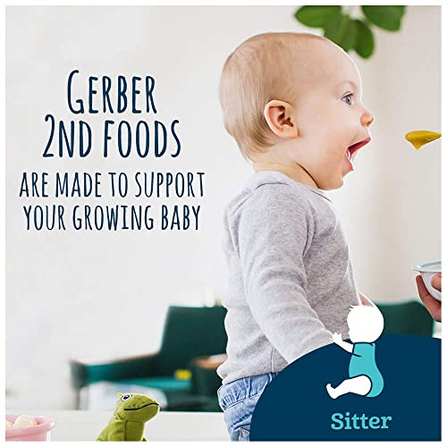 Gerber Baby Food, 2nd Foods, Apple Banana with Oatmeal, 8 OZ Pa...