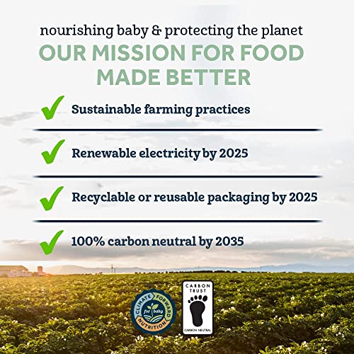 Gerber Baby Food Pouches, Toddler 12+ Months, WonderFoods, Banan...