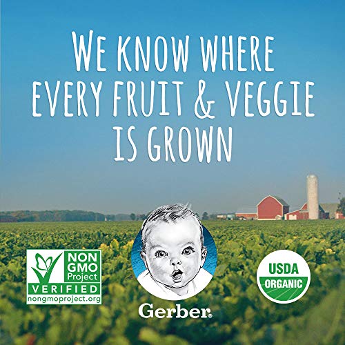 Gerber Organic 2Nd Foods Baby Food, Bananas &Amp; Mangoes, 3.5 Ounce