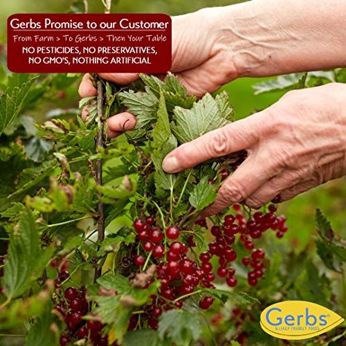 Gerbs Zante Black Currants, 16 Ounce Bag, Unsulfured, Top 14 Foo