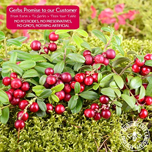 Gerbs Dried Cape Cod Cranberries, 32 Ounce Bag, Unsulfured, Pres