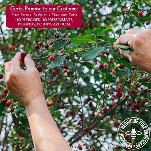 Gerbs Dried Cherries, 32 Ouce Bag, Unsulfured, Preservative, Top