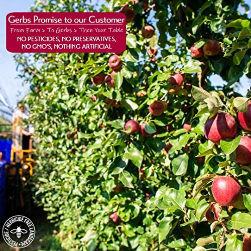 Gerbs Dried New England Apple Slices, 32 Ounce Bag, No Sugar Add