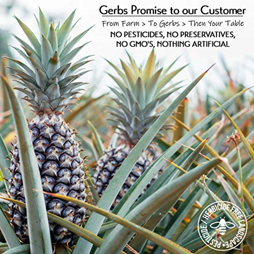 Gerbs Dried Sweetened Pineapple Rings, 32 Ounce Bag, Unsulfured,