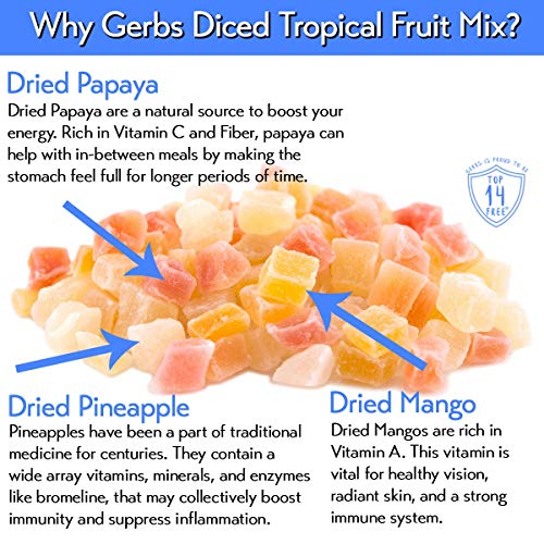Gerbs Dried Tropical Fruit Snack Mix, 64 Ounce Bag, Unsulfured,