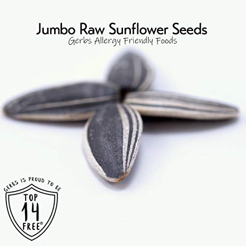 GERBS Jumbo Raw Whole Sunflower Seeds, 32 ounce Bag, Unsalted, T...