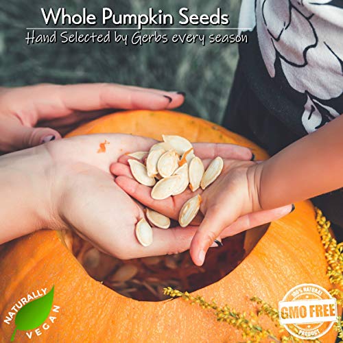 Lightly Sea Salted Whole Pumpkin Seeds, 2 Lbs By Gerbs – Top 14
