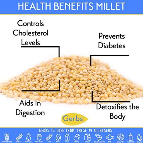 Gerbs Millet Grain - 2 Lbs. - Top 14 Food Allergen Friendly &Amp; No