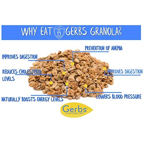 GERBS Original Seed n Honey Granola, 32 ounce Bag, Top 14 Food ...
