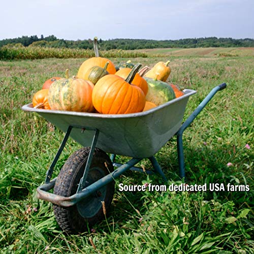 Gerbs Raw Pumpkin Seed Kernels, 2 Lbs Closeable Bag, Top 14 Food