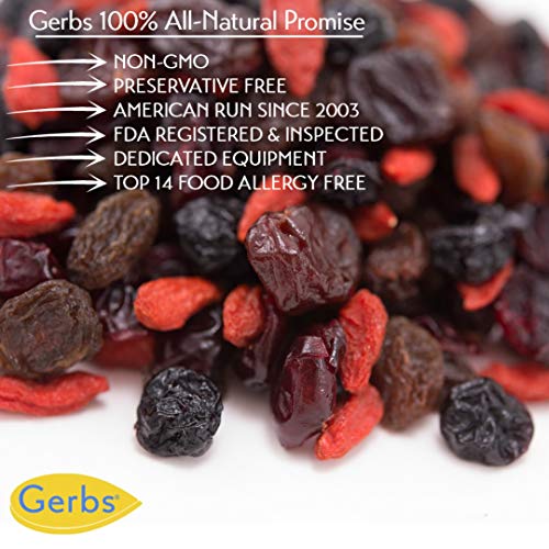 Gerbs Super 5 Dried Fruit Snack Mix, 14 Ounce Bag, Unsulfured, P
