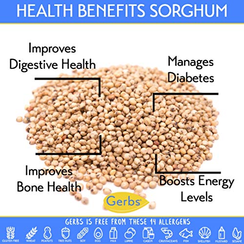 Gerbs White Sorghum Grain, 64 Ounce Bag, Top 14 Food Allergen Fr