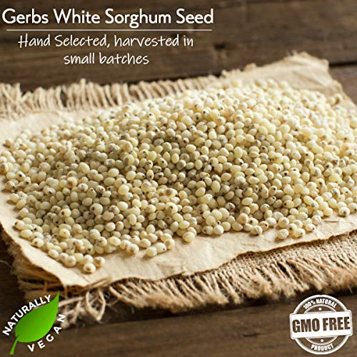Gerbs White Sorghum Grain, 64 Ounce Bag, Top 14 Food Allergen Fr