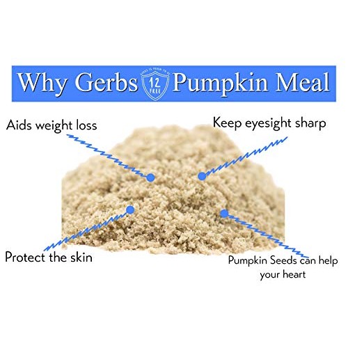 Ground Pumpkin Seed Meal, 1 Lb. By Gerbs - Top 14 Food Allergy F